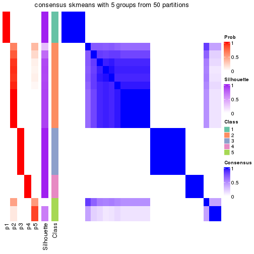 plot of chunk tab-node-02-consensus-heatmap-4