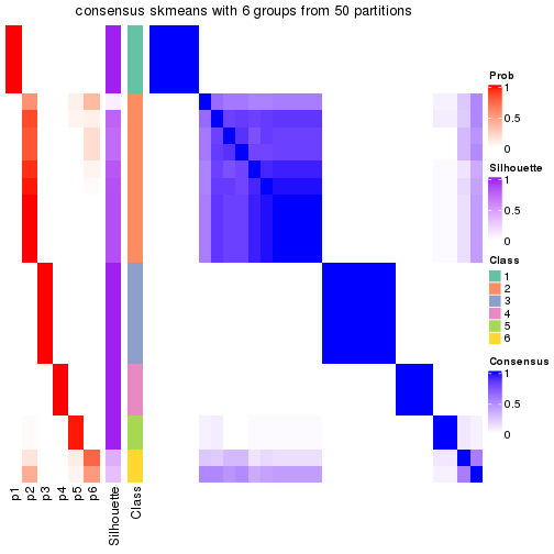 plot of chunk tab-node-02-consensus-heatmap-5