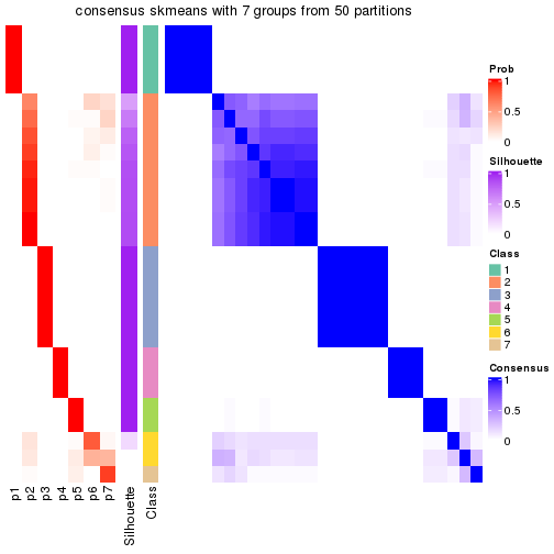 plot of chunk tab-node-02-consensus-heatmap-6