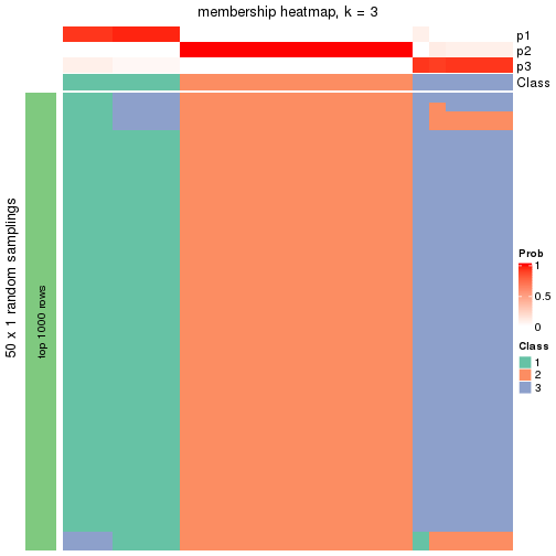 plot of chunk tab-node-02-membership-heatmap-2