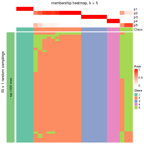 plot of chunk tab-node-02-membership-heatmap-4