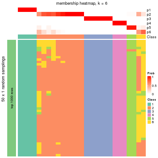 plot of chunk tab-node-02-membership-heatmap-5