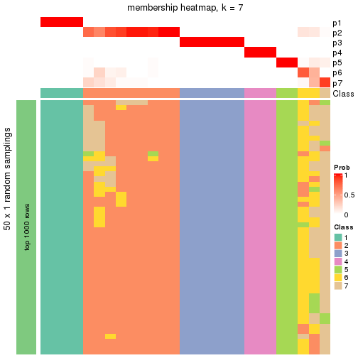 plot of chunk tab-node-02-membership-heatmap-6