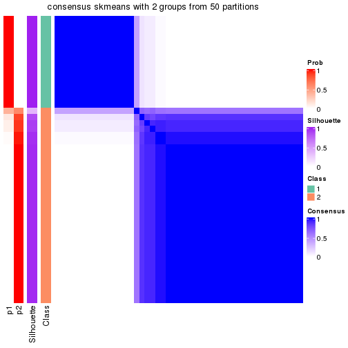 plot of chunk tab-node-03-consensus-heatmap-1