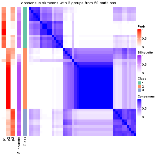 plot of chunk tab-node-03-consensus-heatmap-2