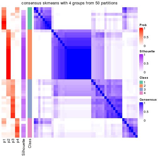 plot of chunk tab-node-03-consensus-heatmap-3