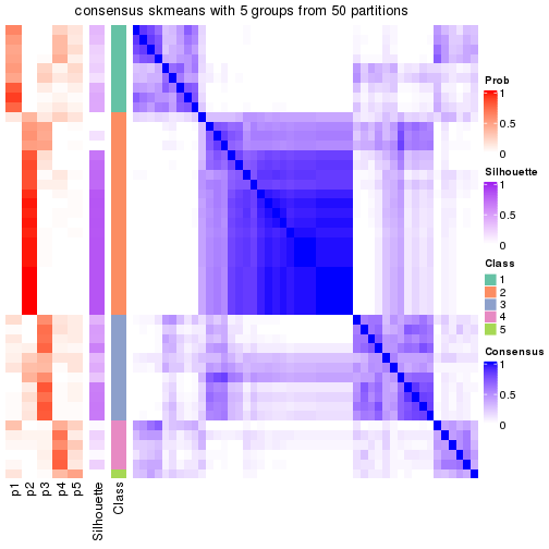 plot of chunk tab-node-03-consensus-heatmap-4