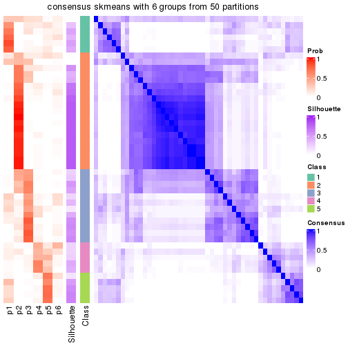 plot of chunk tab-node-03-consensus-heatmap-5