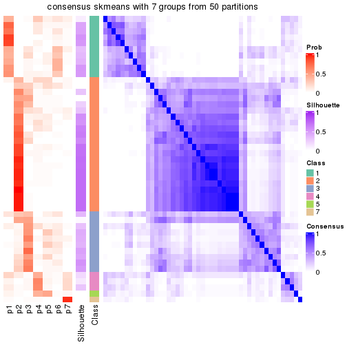 plot of chunk tab-node-03-consensus-heatmap-6