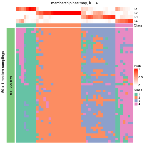 plot of chunk tab-node-03-membership-heatmap-3