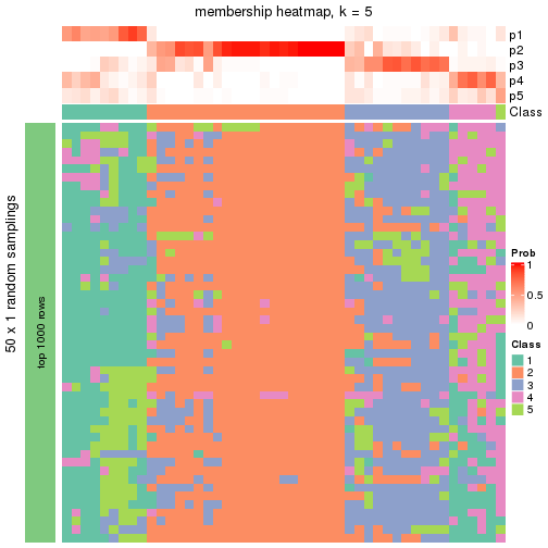 plot of chunk tab-node-03-membership-heatmap-4