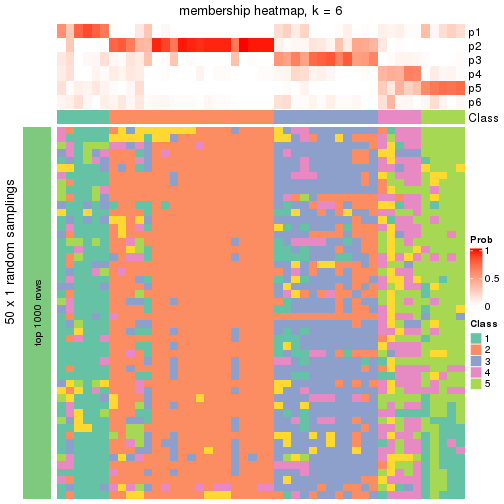 plot of chunk tab-node-03-membership-heatmap-5