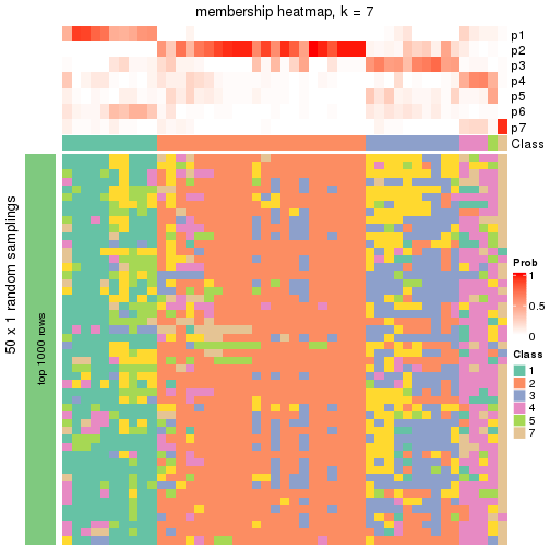 plot of chunk tab-node-03-membership-heatmap-6