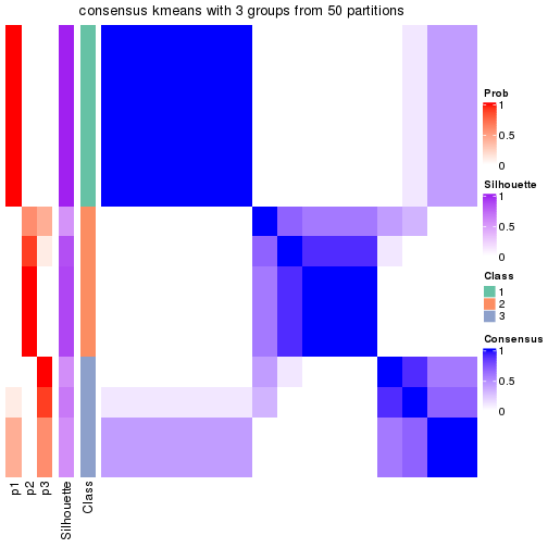 plot of chunk tab-node-031-consensus-heatmap-2