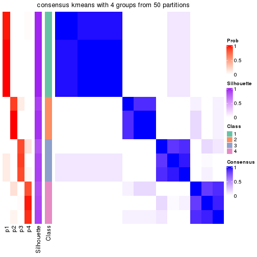 plot of chunk tab-node-031-consensus-heatmap-3