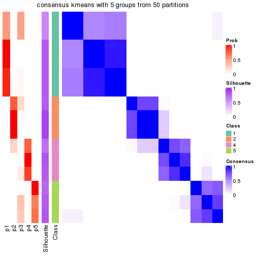 plot of chunk tab-node-031-consensus-heatmap-4