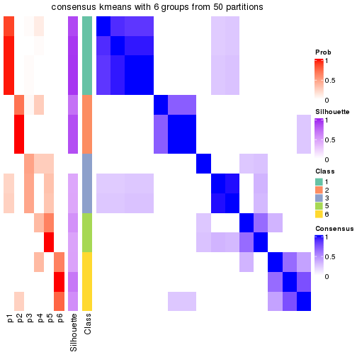 plot of chunk tab-node-031-consensus-heatmap-5