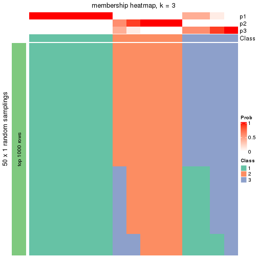 plot of chunk tab-node-031-membership-heatmap-2