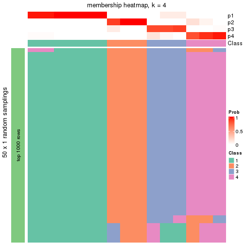 plot of chunk tab-node-031-membership-heatmap-3