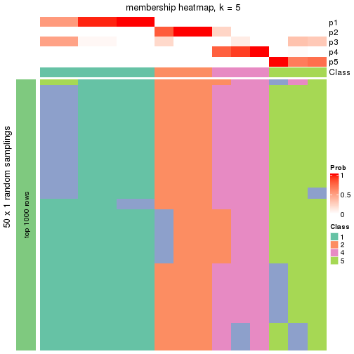 plot of chunk tab-node-031-membership-heatmap-4