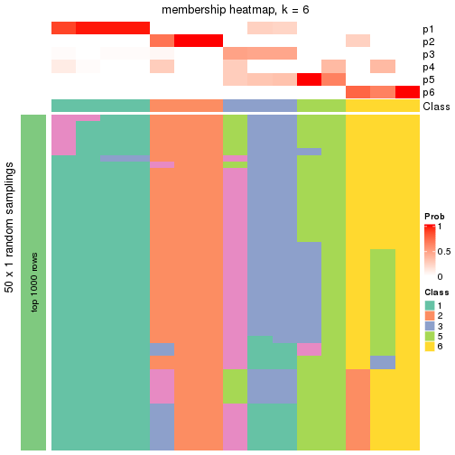 plot of chunk tab-node-031-membership-heatmap-5