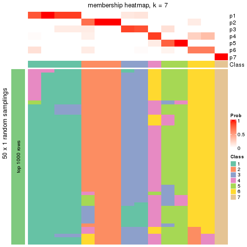 plot of chunk tab-node-031-membership-heatmap-6