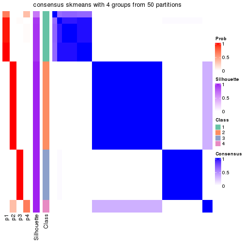 plot of chunk tab-node-032-consensus-heatmap-3