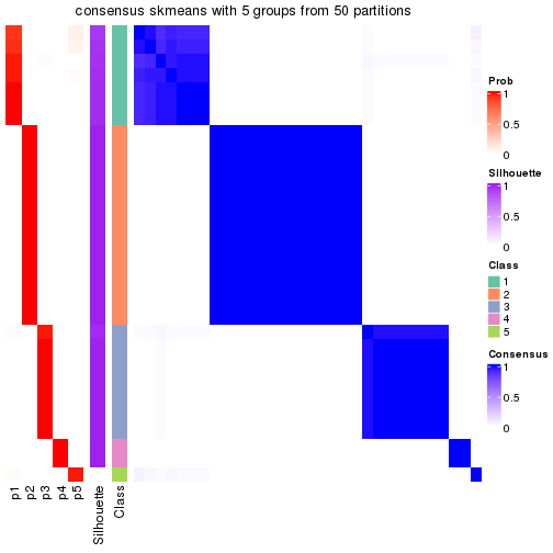 plot of chunk tab-node-032-consensus-heatmap-4