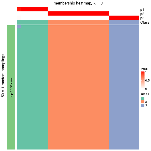 plot of chunk tab-node-032-membership-heatmap-2