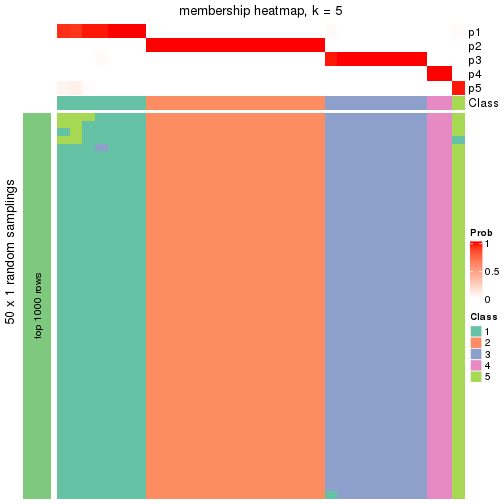 plot of chunk tab-node-032-membership-heatmap-4