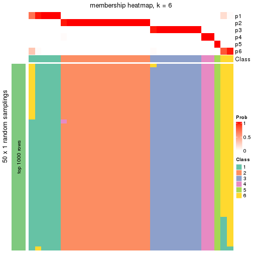 plot of chunk tab-node-032-membership-heatmap-5