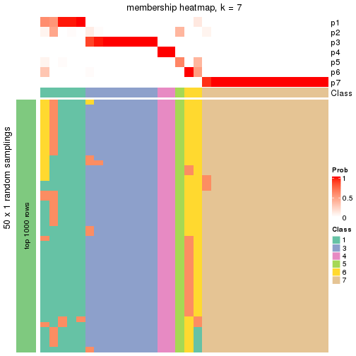 plot of chunk tab-node-032-membership-heatmap-6