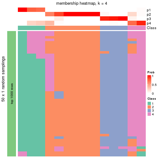 plot of chunk tab-node-0322-membership-heatmap-3