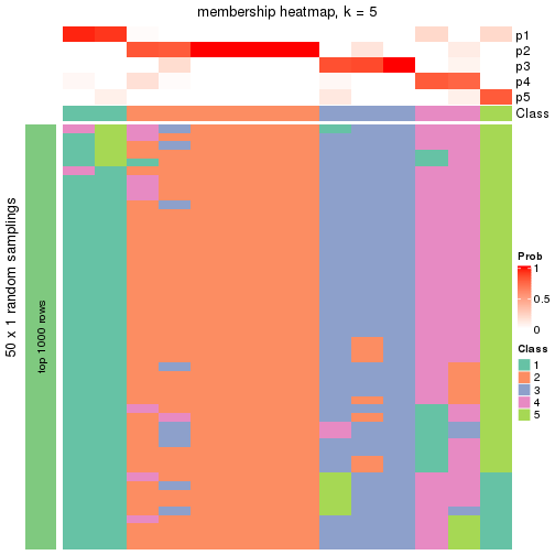 plot of chunk tab-node-0322-membership-heatmap-4