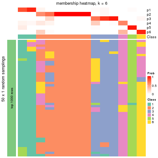 plot of chunk tab-node-0322-membership-heatmap-5