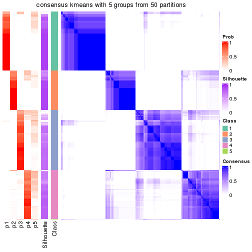 plot of chunk tab-node-0-consensus-heatmap-4