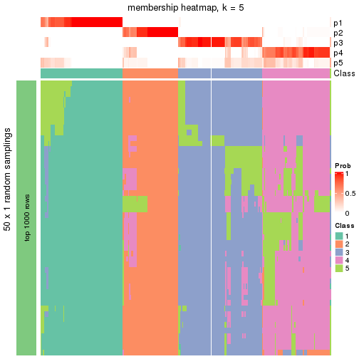 plot of chunk tab-node-0-membership-heatmap-4