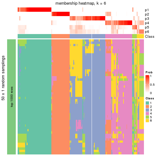 plot of chunk tab-node-0-membership-heatmap-5