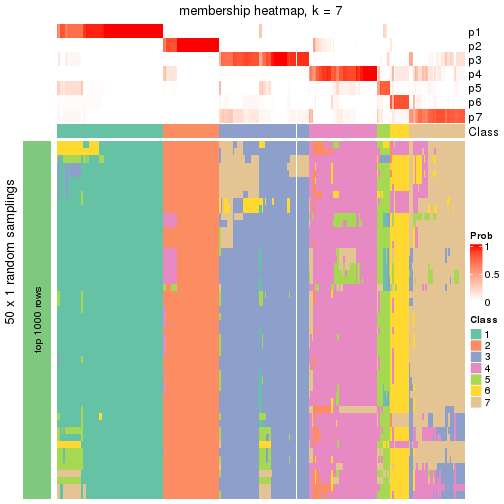 plot of chunk tab-node-0-membership-heatmap-6