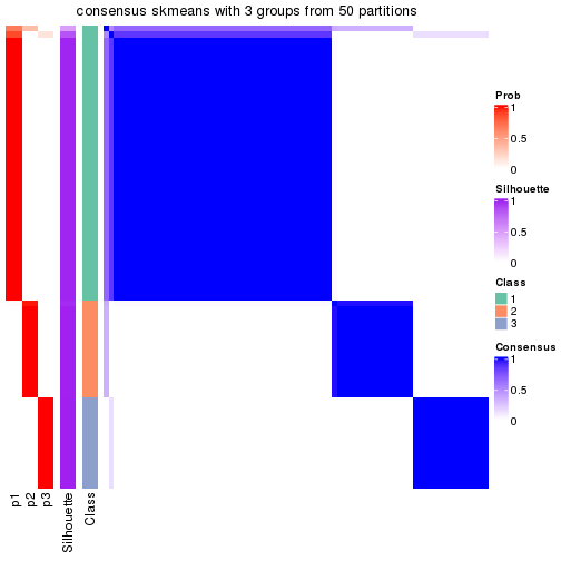 plot of chunk tab-node-01-consensus-heatmap-2