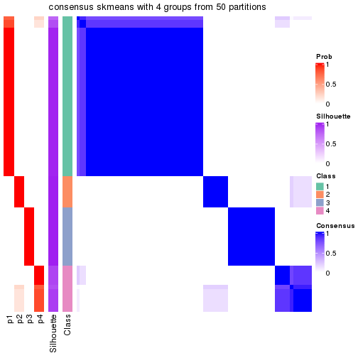 plot of chunk tab-node-01-consensus-heatmap-3