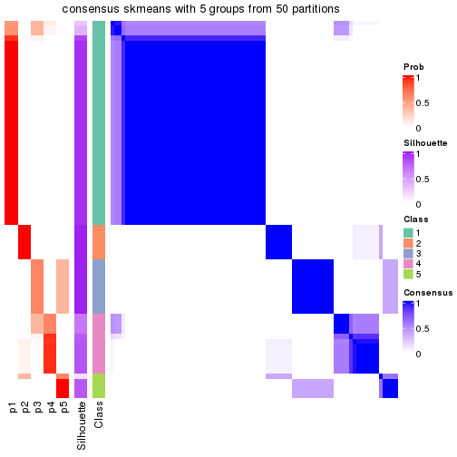 plot of chunk tab-node-01-consensus-heatmap-4