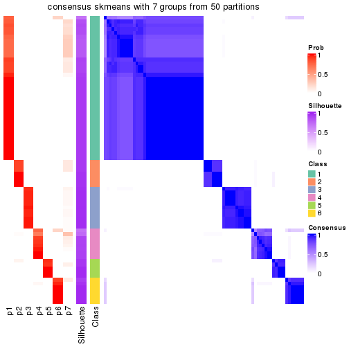 plot of chunk tab-node-01-consensus-heatmap-6