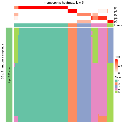 plot of chunk tab-node-01-membership-heatmap-4