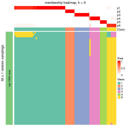 plot of chunk tab-node-01-membership-heatmap-5