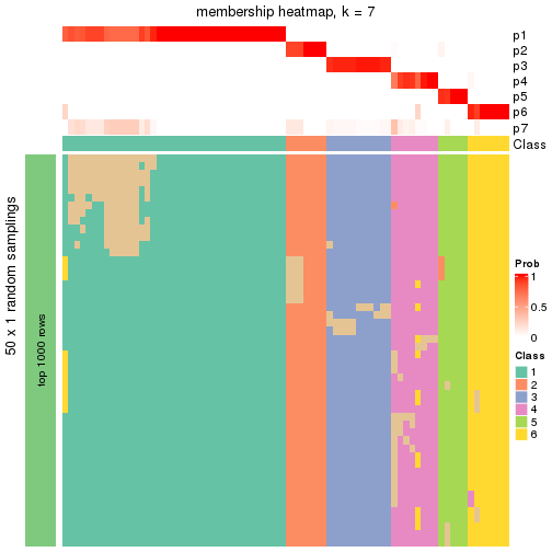 plot of chunk tab-node-01-membership-heatmap-6