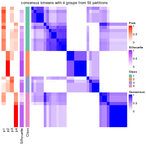 plot of chunk tab-node-011-consensus-heatmap-3