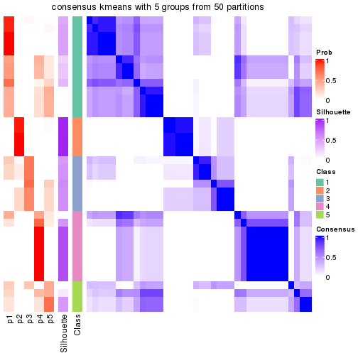 plot of chunk tab-node-011-consensus-heatmap-4