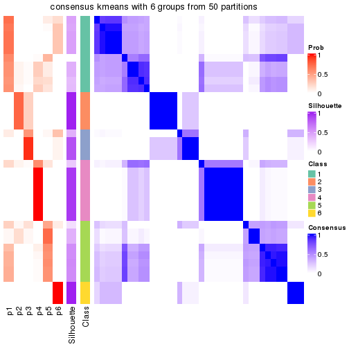 plot of chunk tab-node-011-consensus-heatmap-5