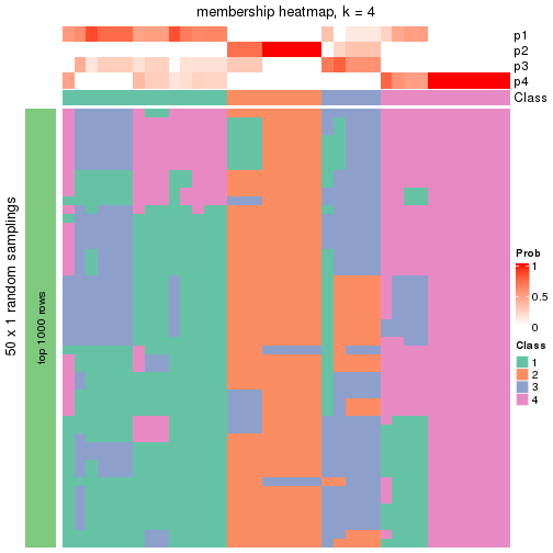 plot of chunk tab-node-011-membership-heatmap-3